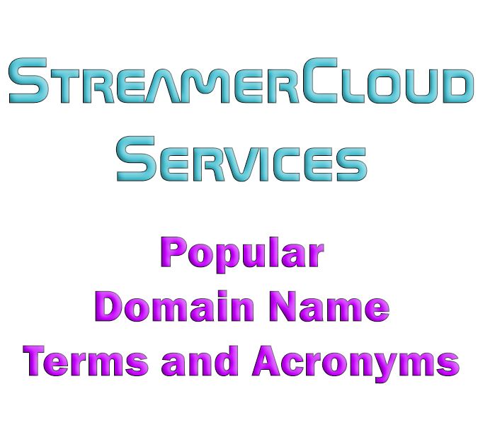 Popular Domain Name Terms and Acronyms